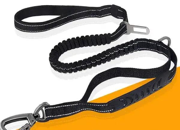Heavy Duty Leash for Large Dogs
