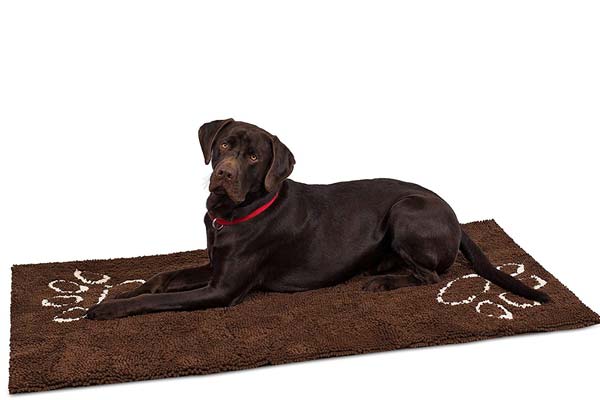 Internet's Best Chenille Dog Mat