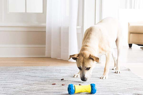 JW RoboBone Electronic Treat Dispenser