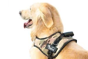 Ondoing's No-Pull Dog Vest