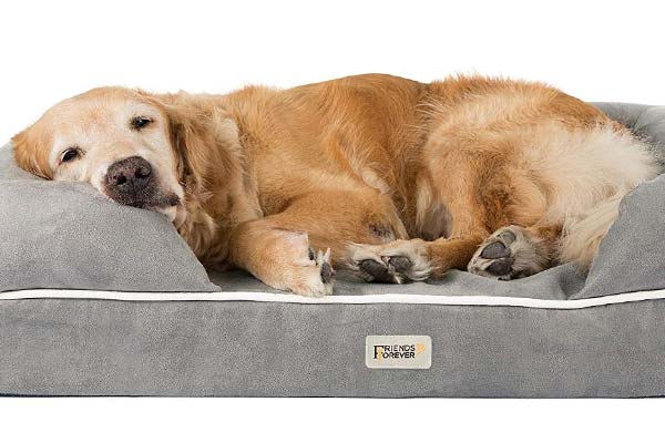 Friends Forever Orthopedic Dog Bed