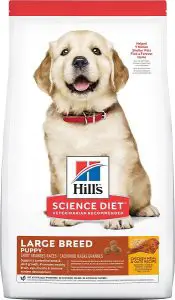 hills science diet puppy large breed dry dog food