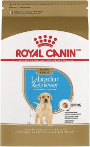 hills science dry dog food