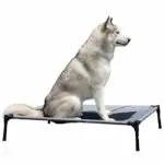 YEPHHO detachable elevated dog bed