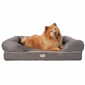 friends forever orthopedic dog bed lounge sofa