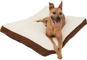 frisco pillow dog bed mat