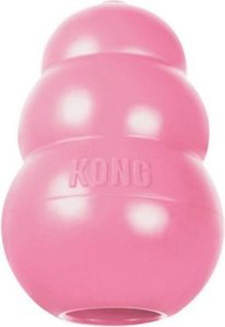 kong puppy toy