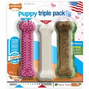 nylabone puppy starter pack