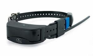 sportDOG GPS tacking training collar