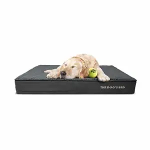 the dogs bed orthopedic premium memory foam dog bed