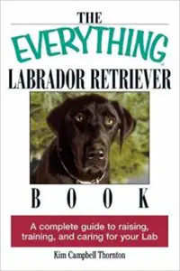 the everything labrador retriever book