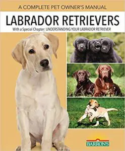 labrador dog training books pdf free download