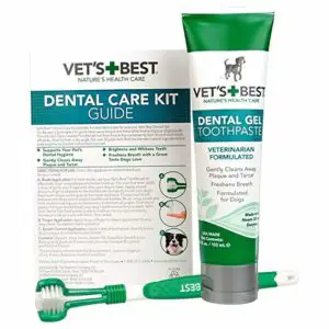 vets best enzymatic dental care kit for dogs