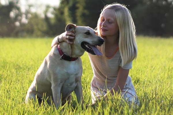 Are Labrador Retrievers Smart